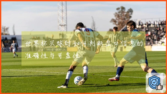 世界杯买球时如何判断盘口信息的准确性与可靠性