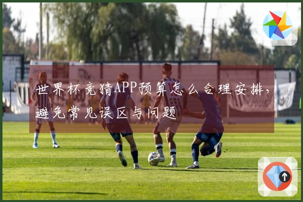 世界杯竞猜APP预算怎么合理安排，避免常见误区与问题